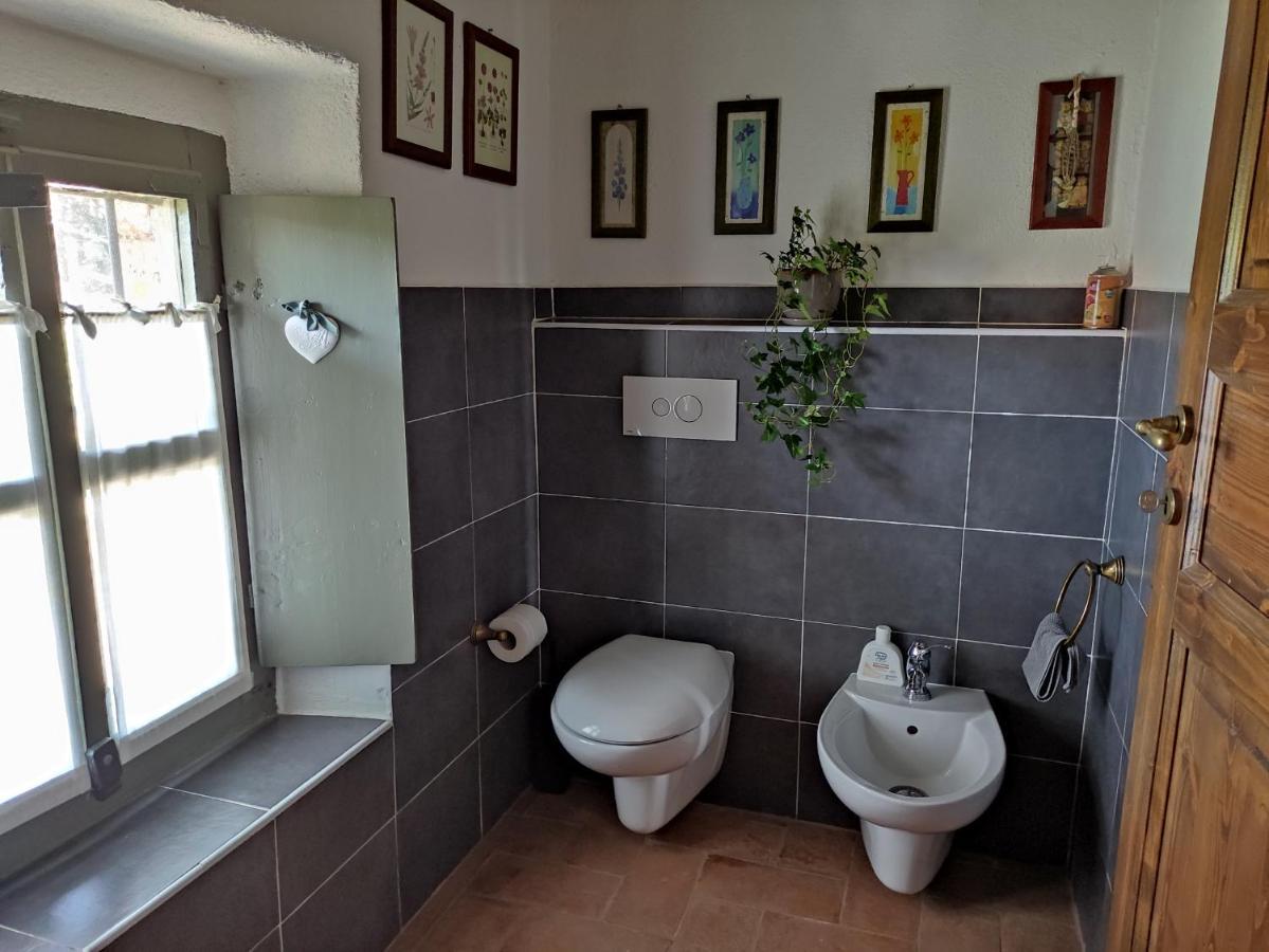 B&B Il Salice Veruno Εξωτερικό φωτογραφία