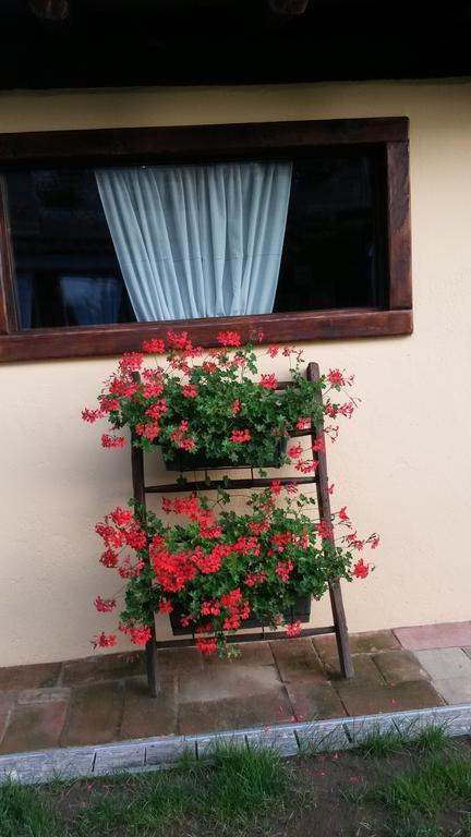 B&B Il Salice Veruno Εξωτερικό φωτογραφία