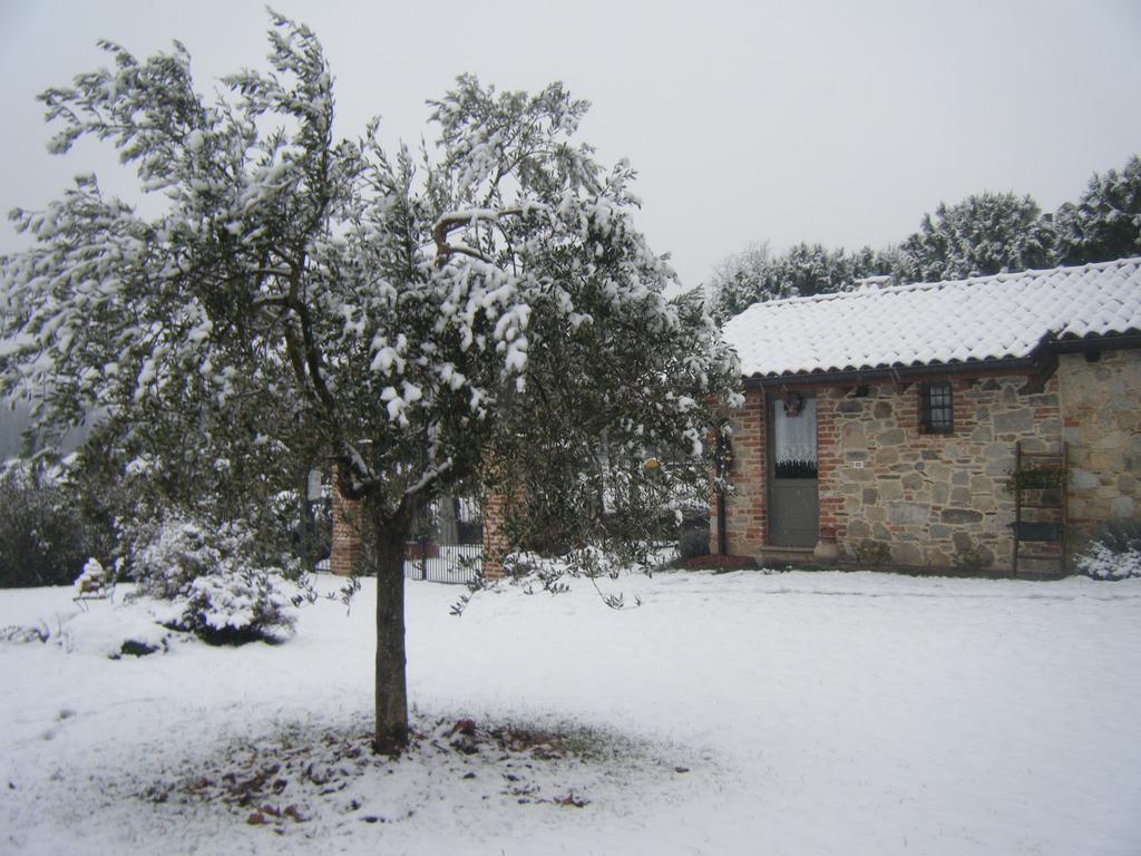 B&B Il Salice Veruno Εξωτερικό φωτογραφία